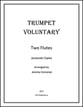 Trumpet Voluntary P.O.D. cover